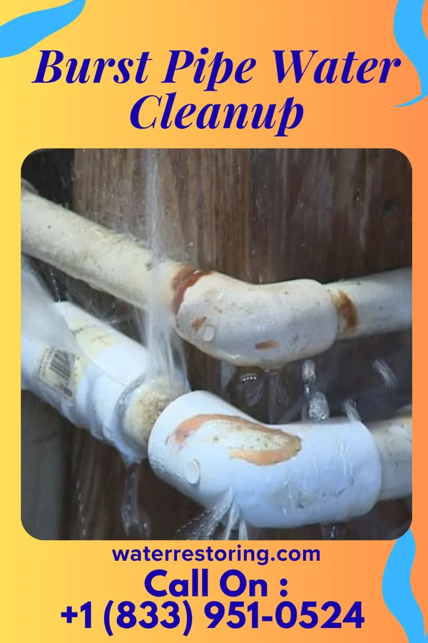 Burst Pipe Water Cleanup in Baxter Estates, NY