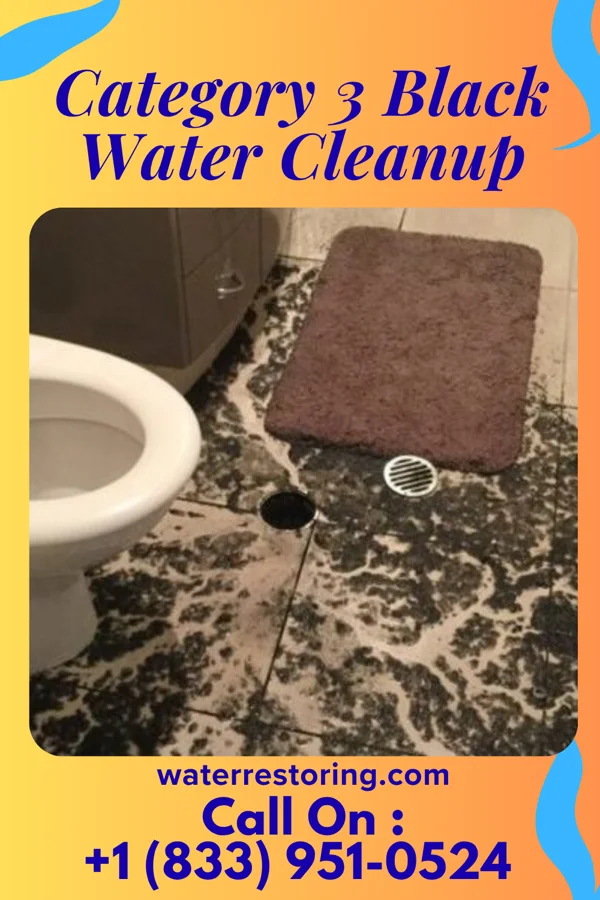 Category 3 Black Water Cleanup in Baxter Estates, NY