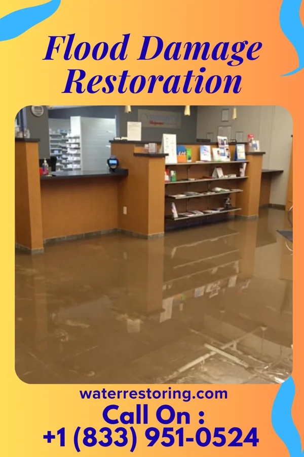 Flood Damage Restoration in Baxter Estates, NY