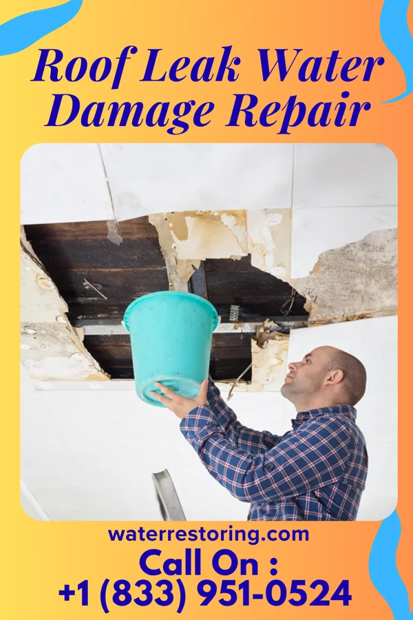 Roof Leak Water Damage Repair in Baxter Estates, NY