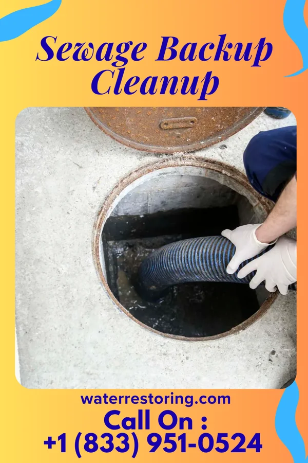 Sewage Backup Cleanup in Baxter Estates, NY