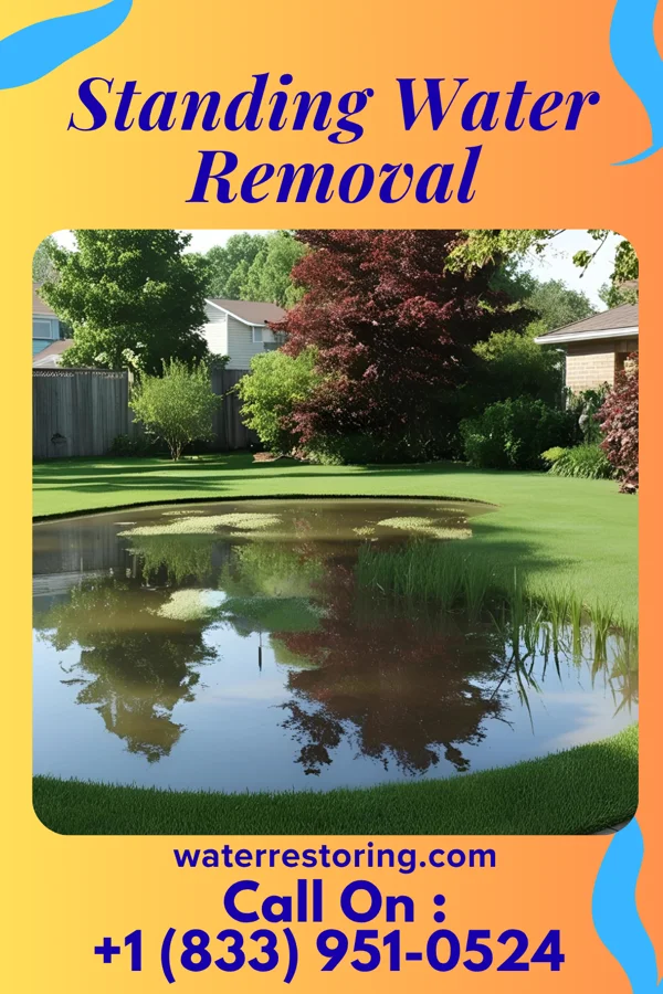 Standing Water Removal in Baxter Estates, NY
